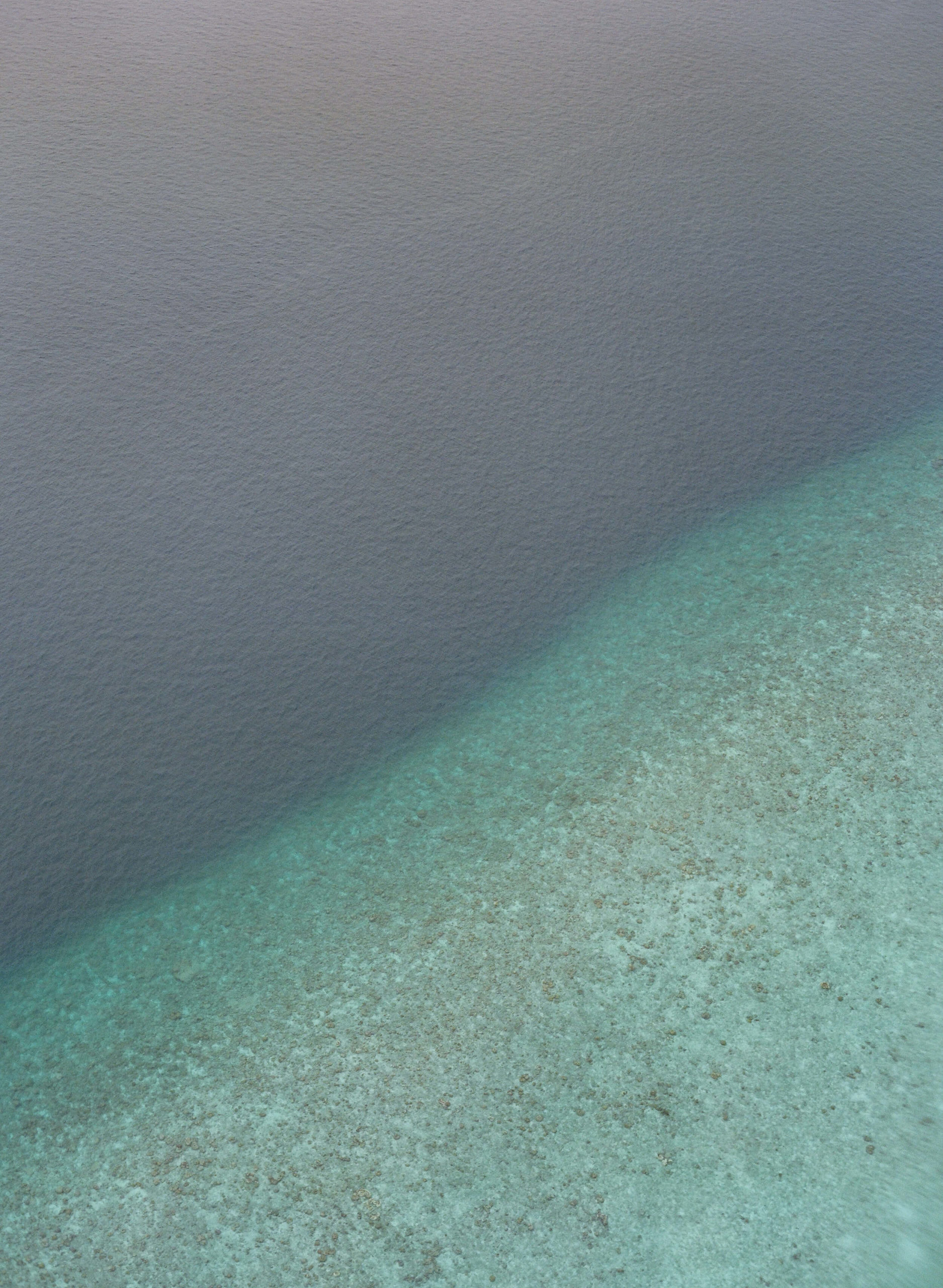 maldives coast