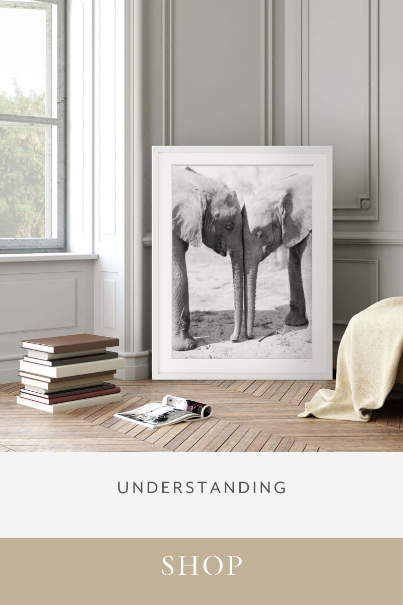Shop fine art photography holiday gifts for the philanthropist and animal lover in your life.