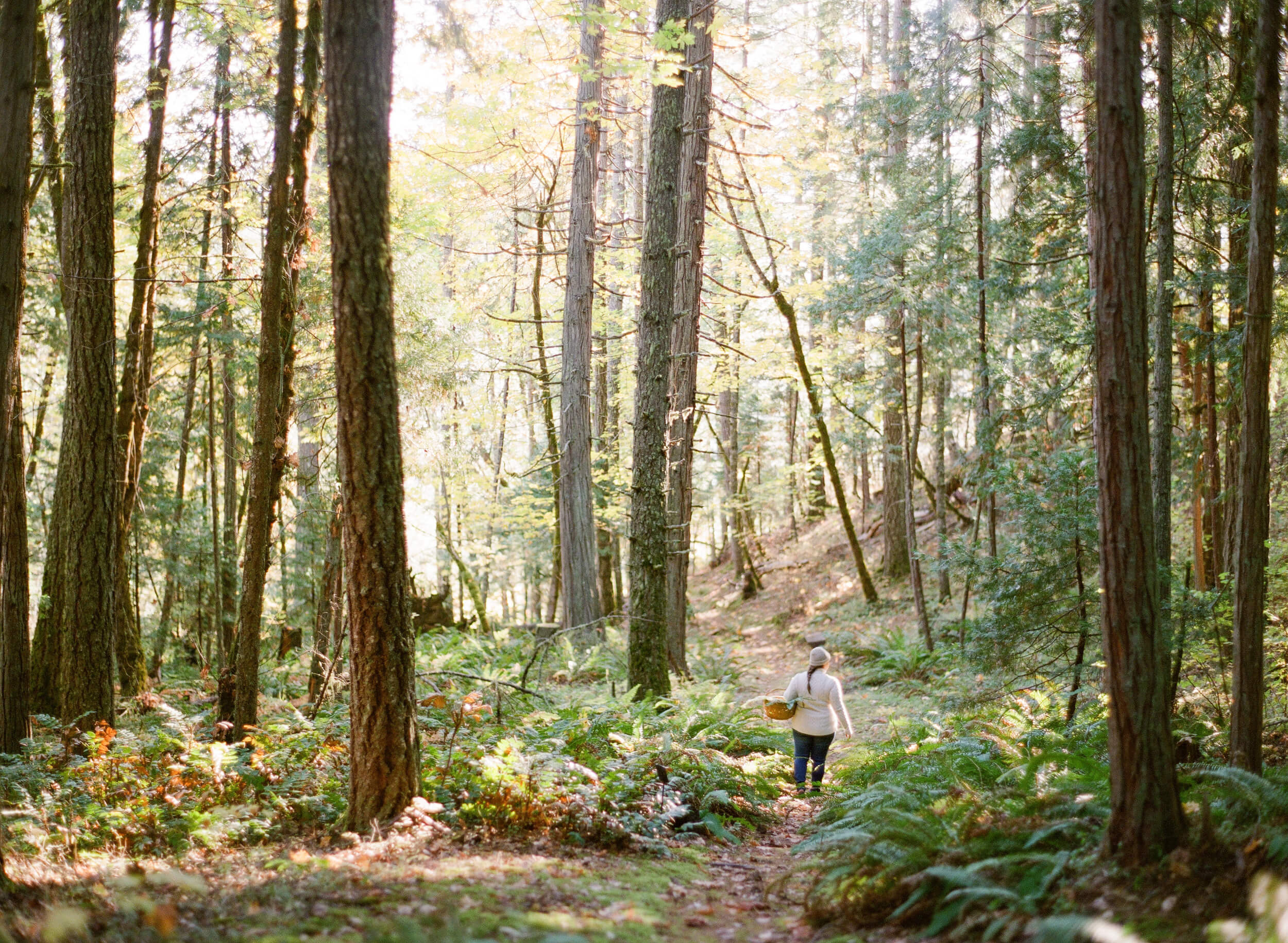 In the Proctor Forest, Joy Proctor finds inspiration in the beauty of nature.
