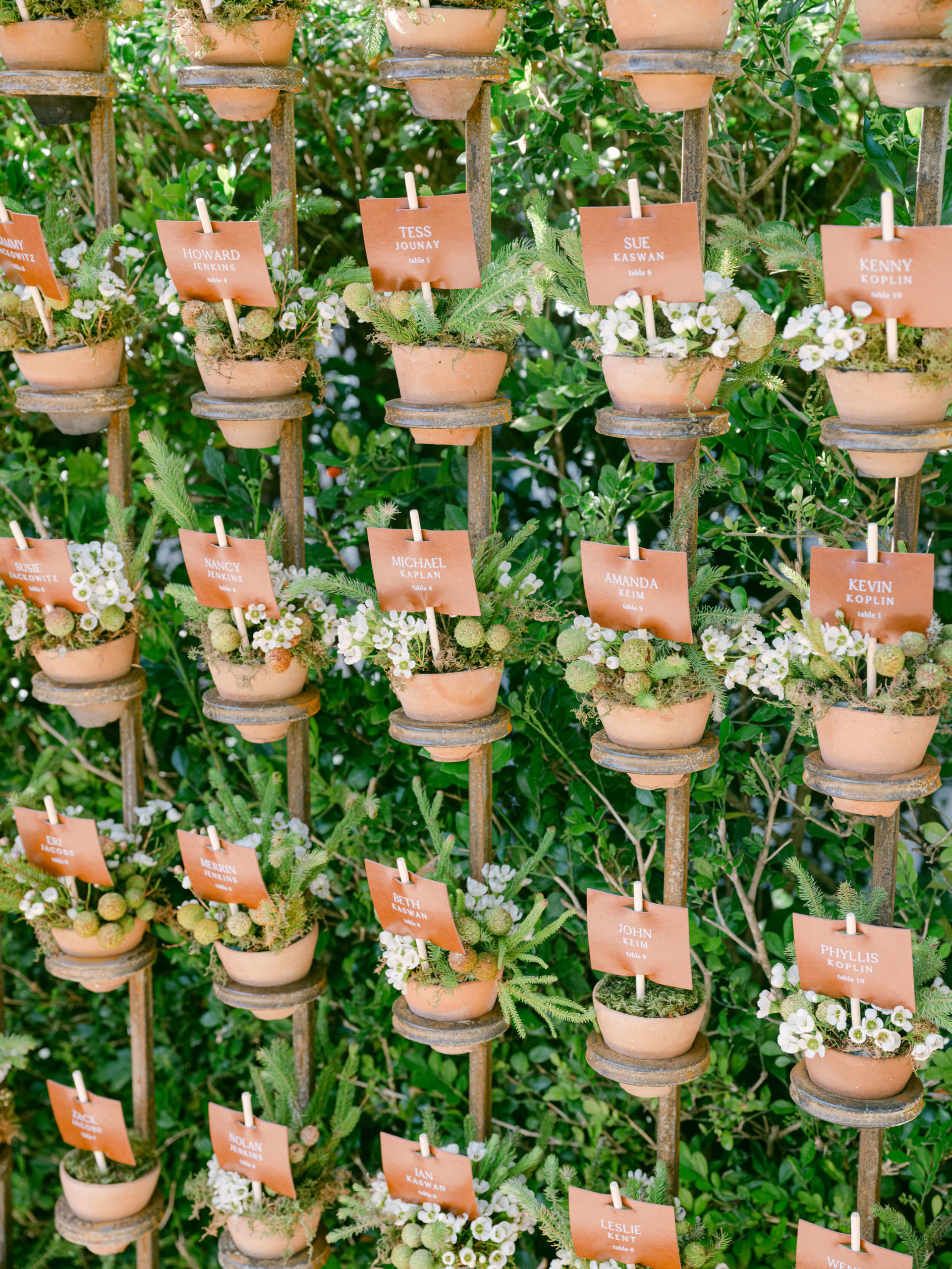 place cards set in plant pots on a wall