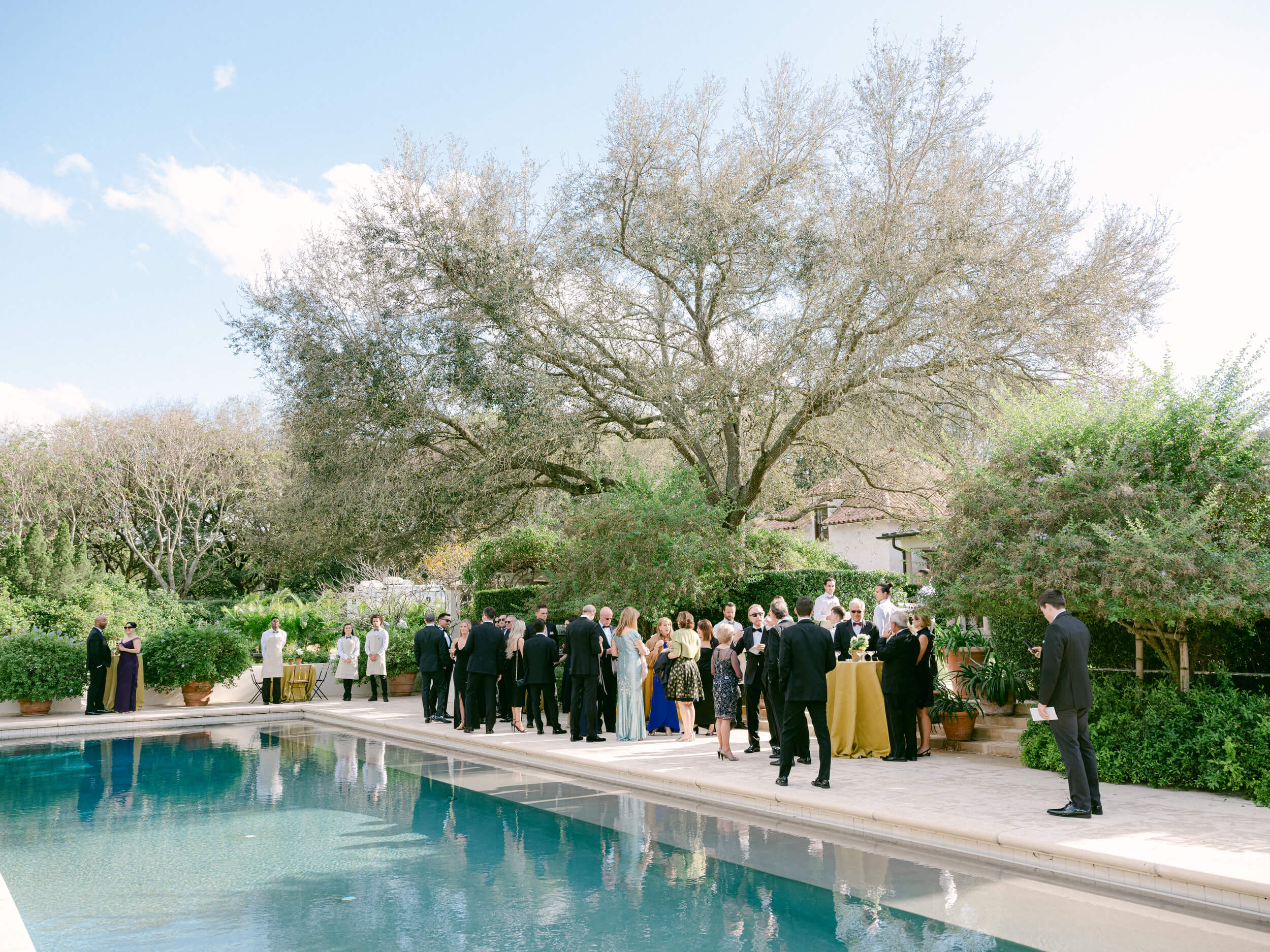 guests mingle before at-home wedding at Tampa horse farm