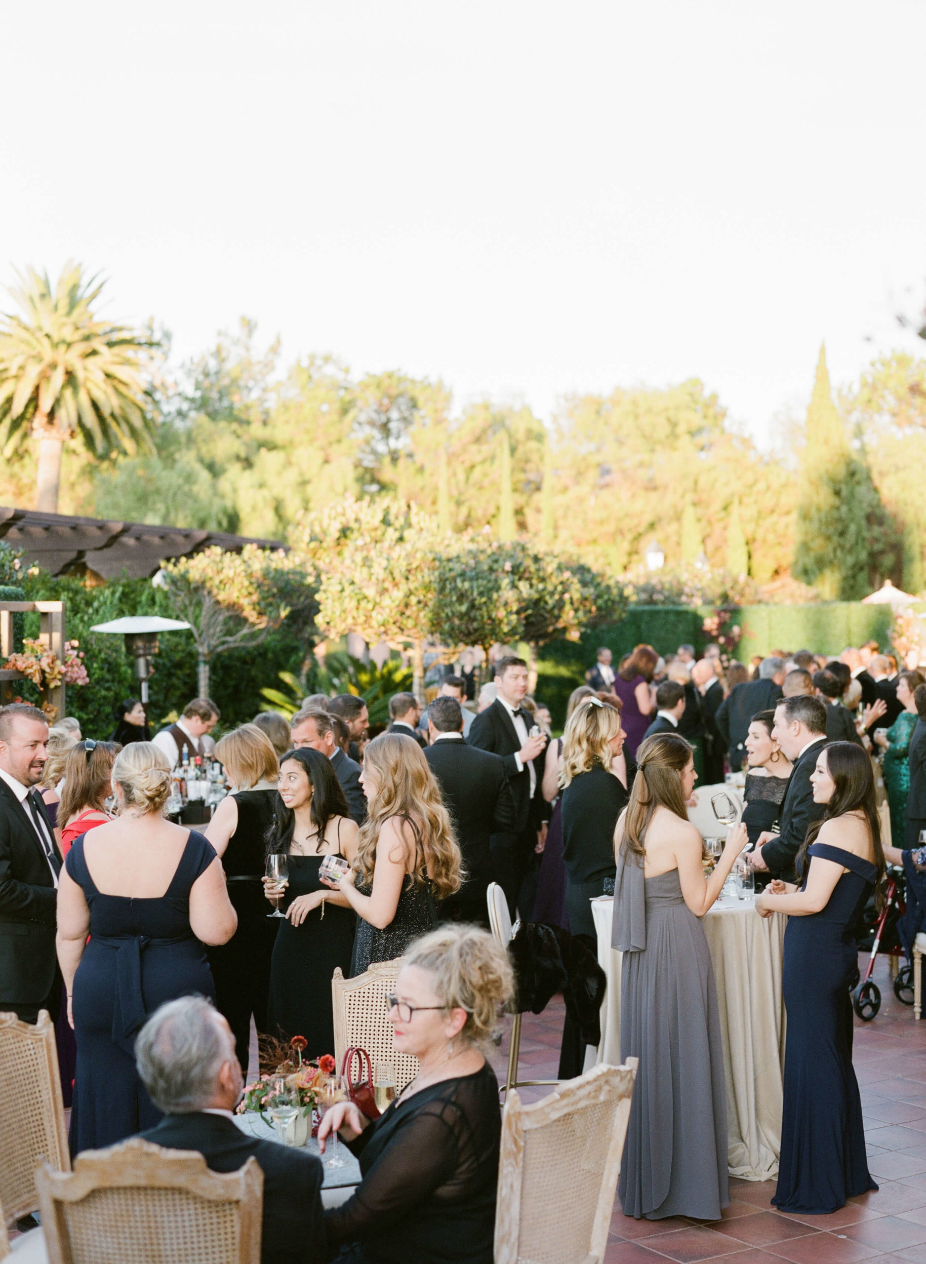 guests mingle at outdoor wedding cocktail hour