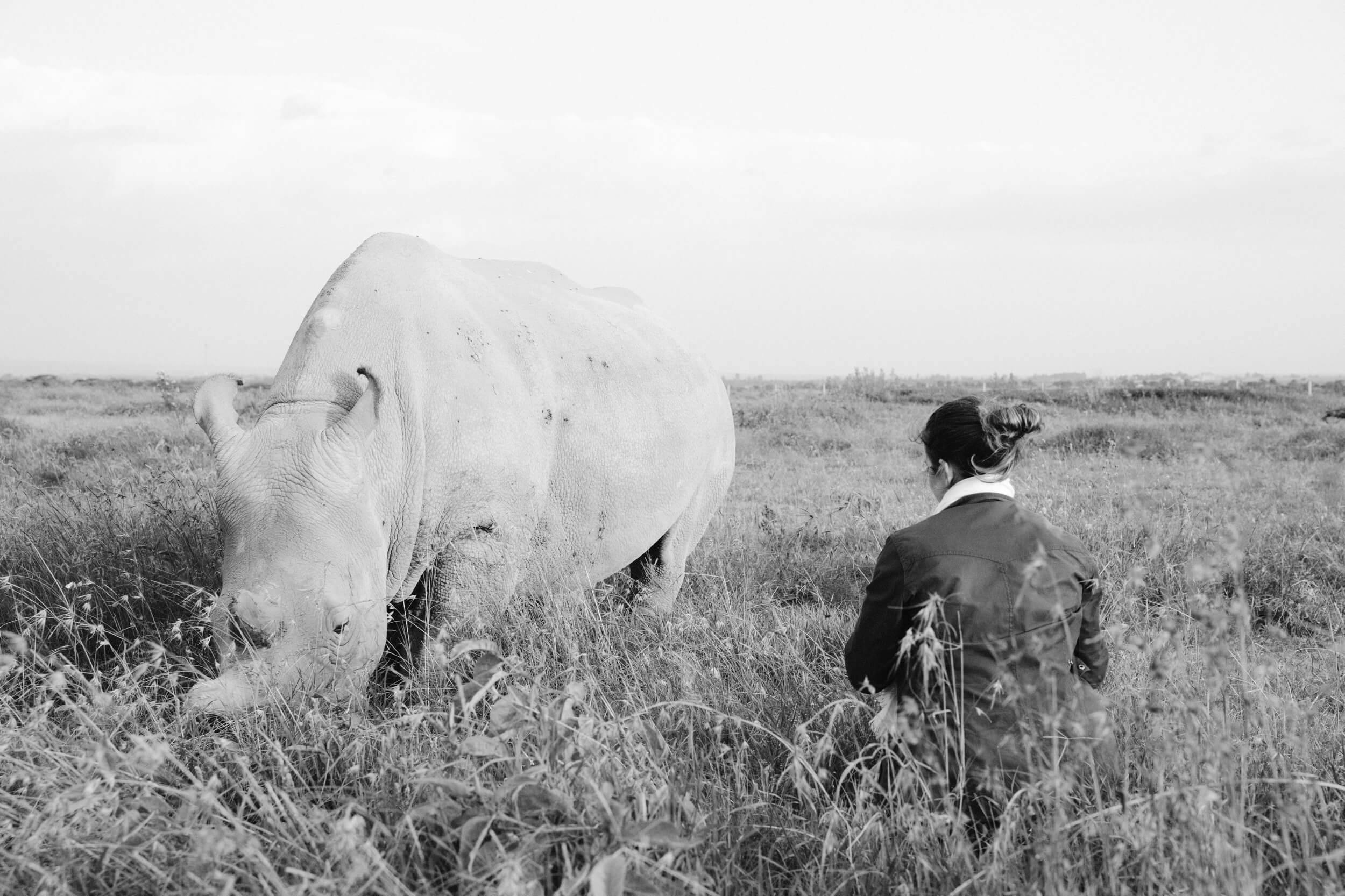 KT Merry photographs rhinos at Ol Pejeta Conservancy
