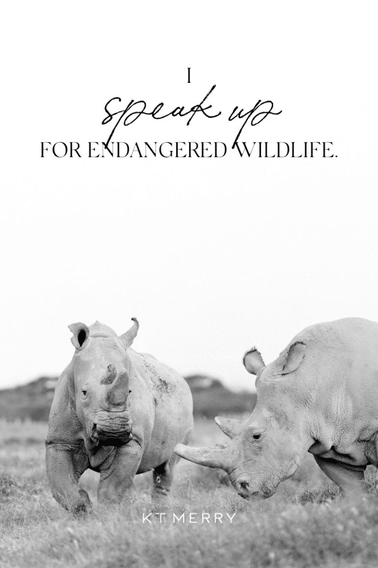 Raise Awareness for Endangered Species with 6 Simple Tips - KT Merry