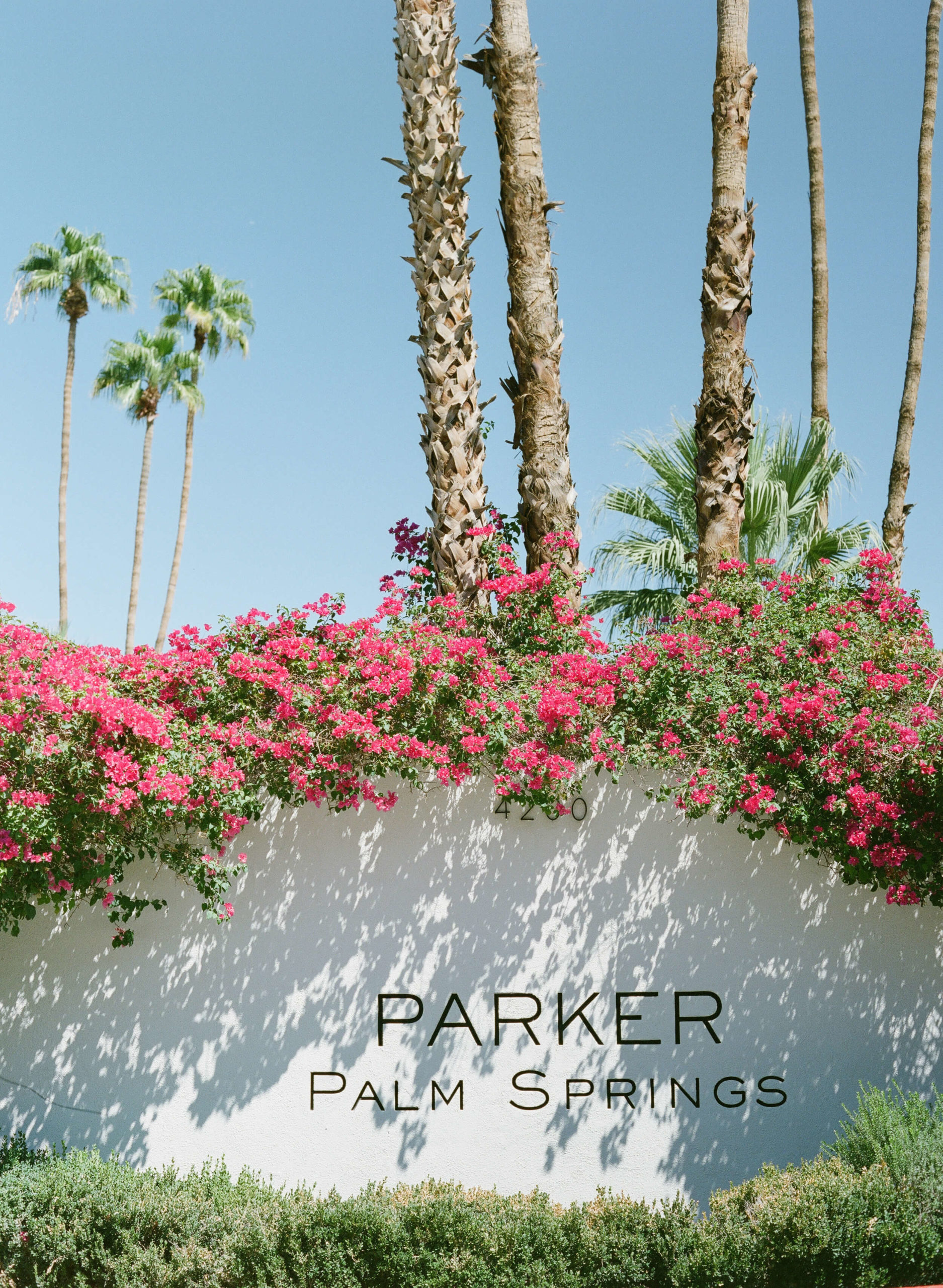 Parker Palm Springs entrance