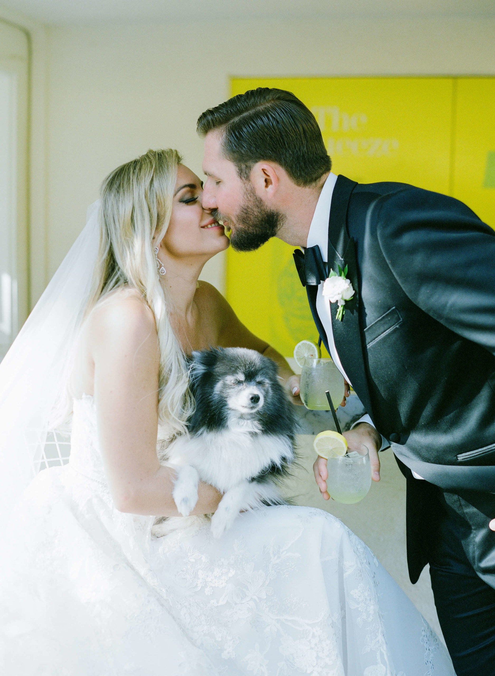 bride and groom kiss with dog