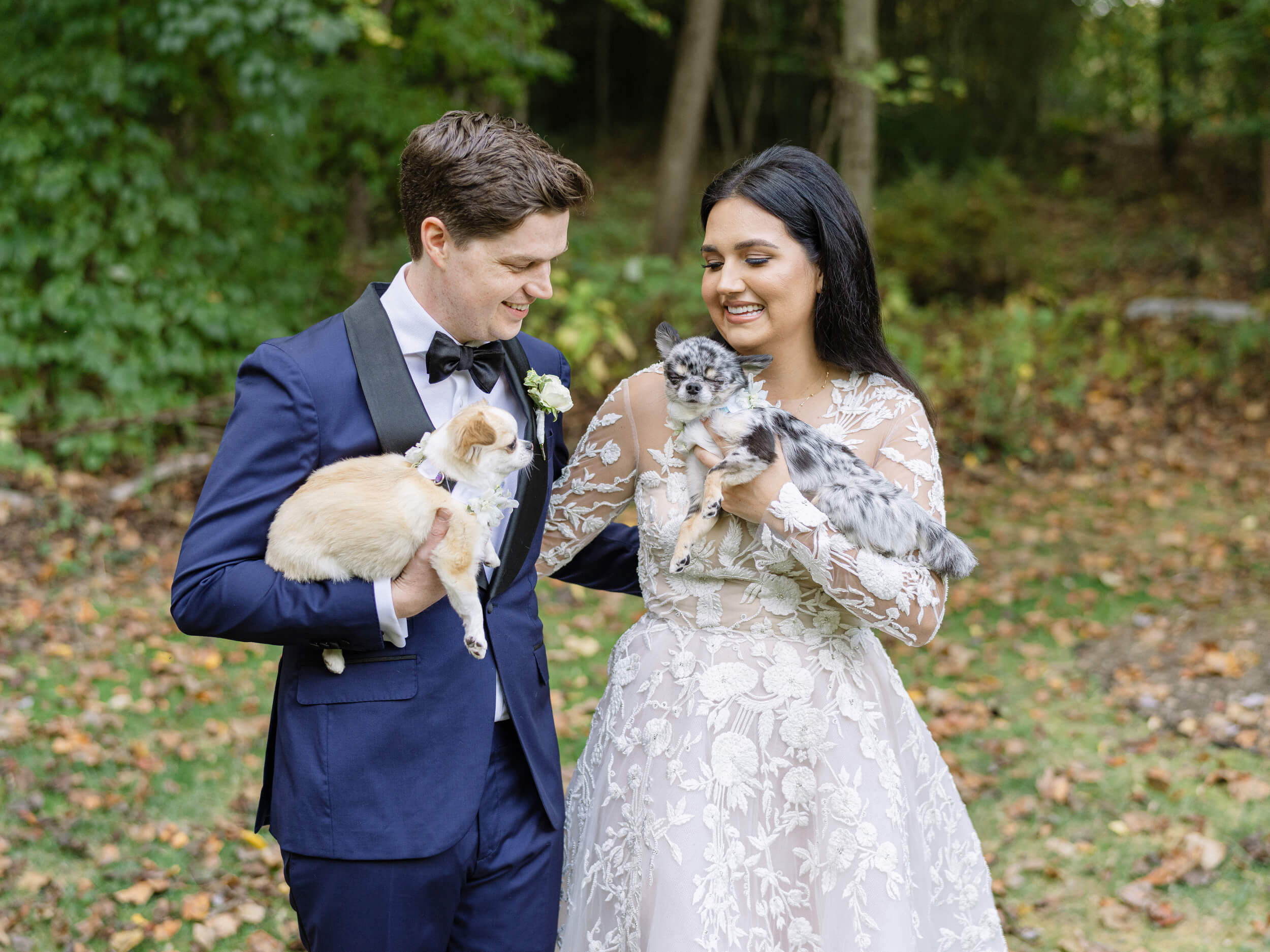 Couple pose with their dogs on their wedding day