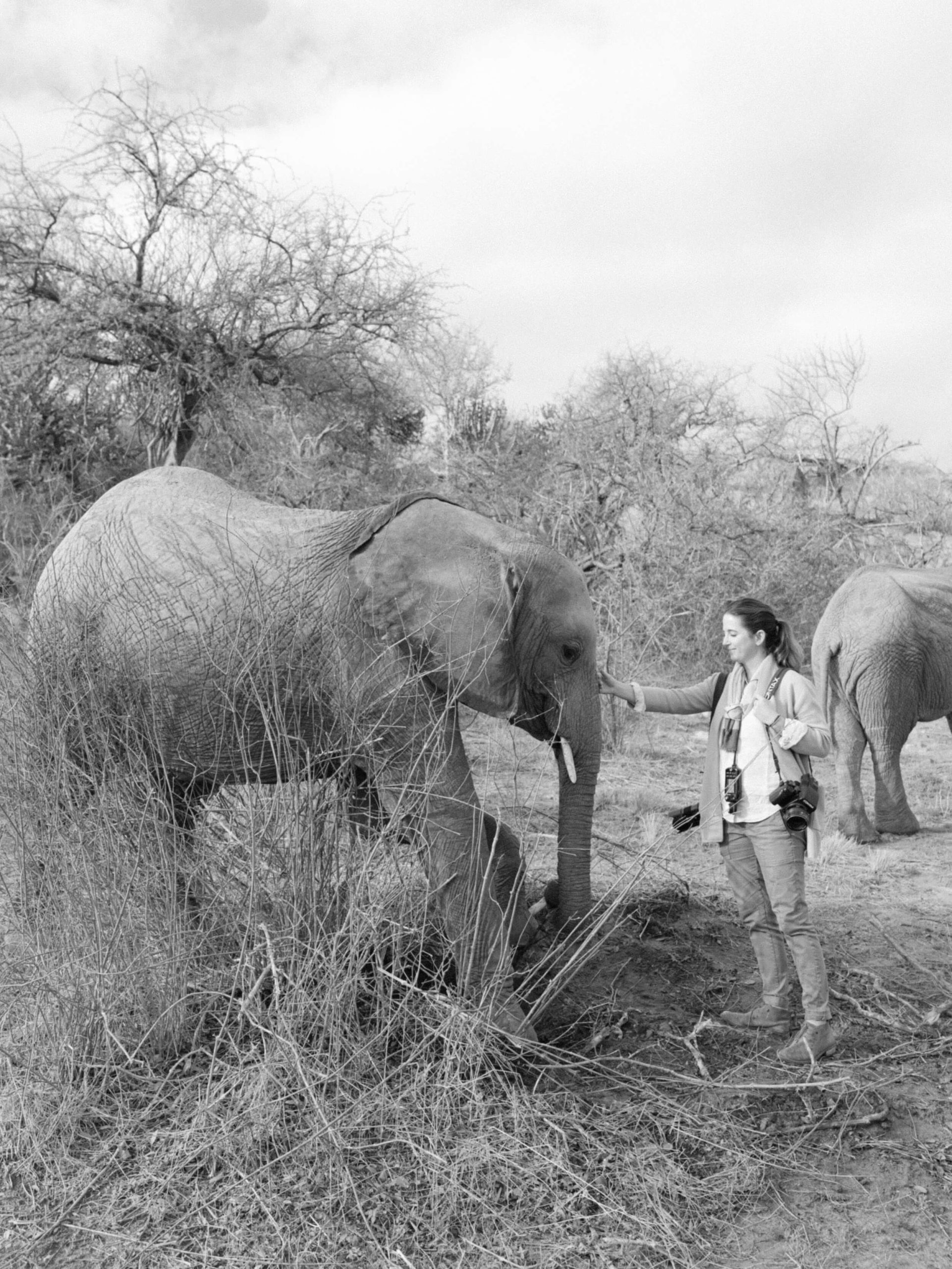 KT Merry photographs elephants at Sheldrick Wildlife Trust in Kenya, Africa