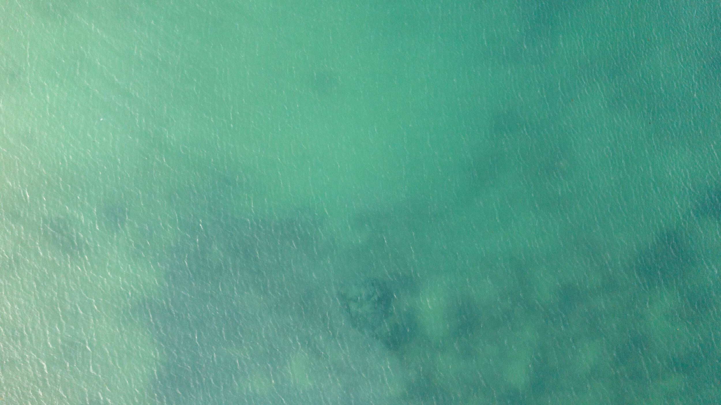 Aerial shot of the water