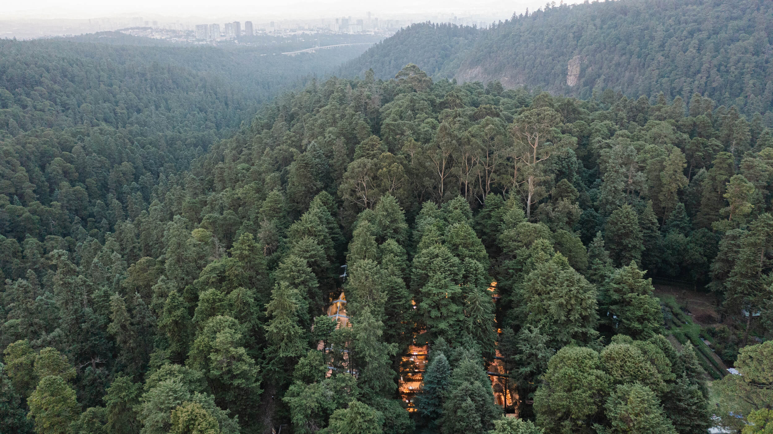 Aerial shot of the venue, Desierto de los Leones, a national forest in Mexico City