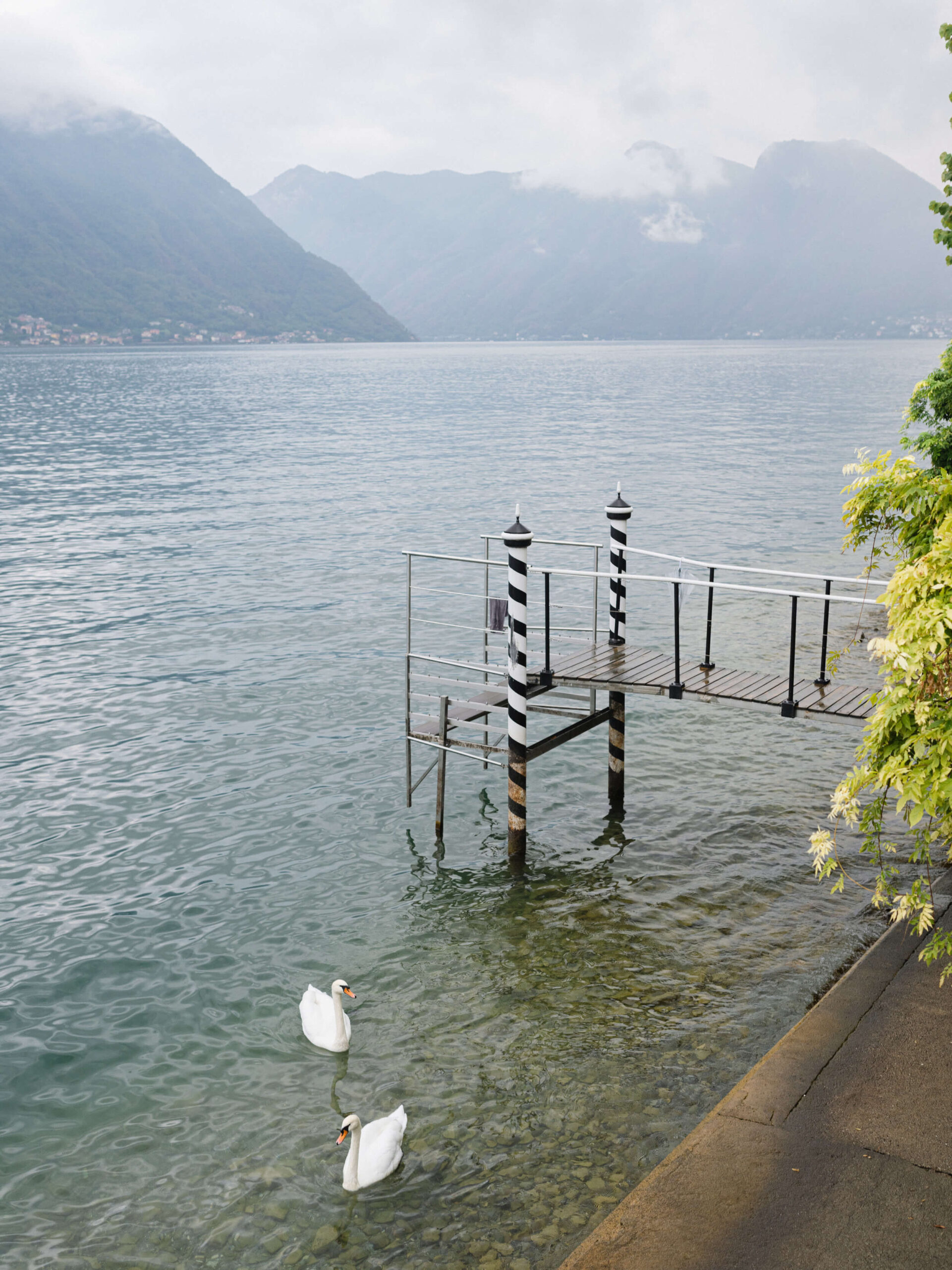 Two swans swimming on Lake Como near the private dock; clouds rolling over the mountains in the distance